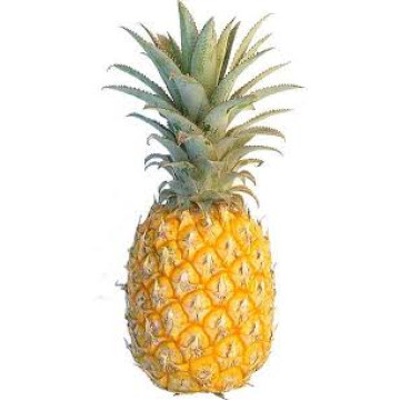 Golden Pineapple (Capella)-ананас