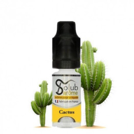 Ароматизатор Cactus (solub arome)