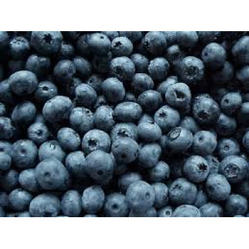 Blueberry Extra  (TPA) Flavor Concentrate-голубика