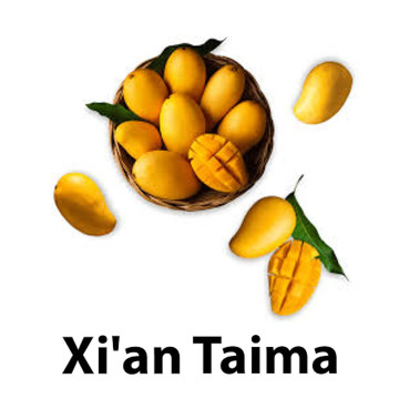 Golden Mango (xian taima)