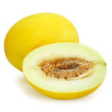 Honeydew Melon (Capella)- медовая дыня