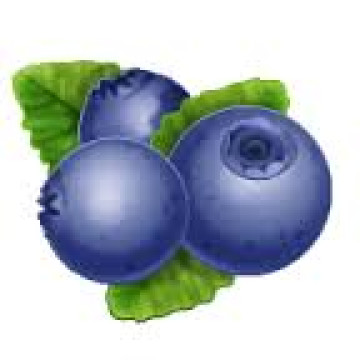 Blueberry Flavors (One Stop) USA