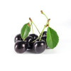 Black Cherry (TPA) Flavor Concentrate-черешня