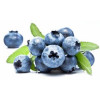 Blueberry Wild (TPA) Flavor Concentrate-дикая черника