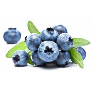 Blueberry Wild (TPA) Flavor Concentrate-дикая черника
