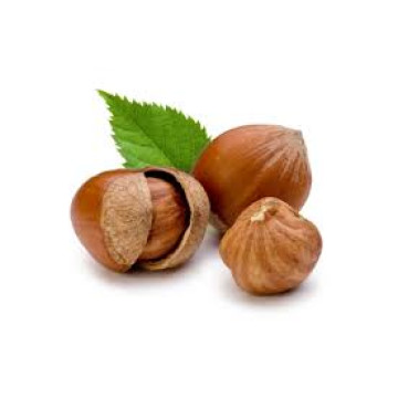 DX Hazelnut  (TPA) Flavor Concentrate -лесной орех